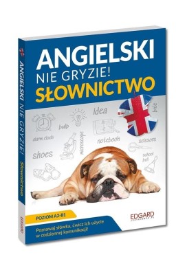 Angielski nie gryzie. Słownictwo