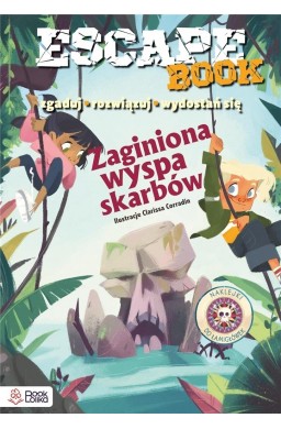 Zaginiona wyspa skarbów. Zgaduj, rozwiązuj...