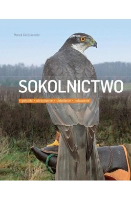 Sokolnictwo