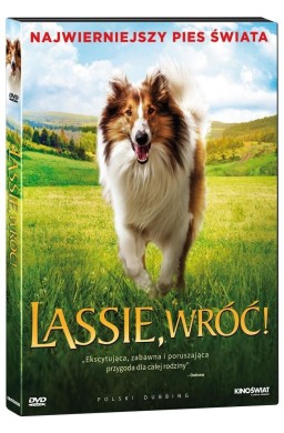 Lessie, wróć! DVD