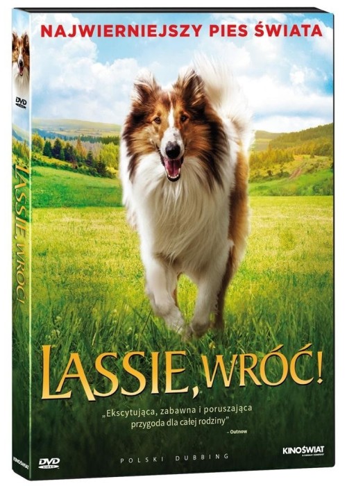 Lessie, wróć! DVD