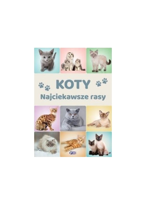 Koty. Najciekawsze rasy