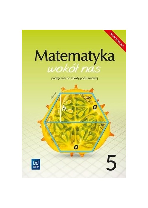 Matematyka Wokół nas SP 5 Podr. WSiP