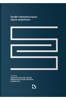 Środki zabezpieczające. Ujęcie systemowe