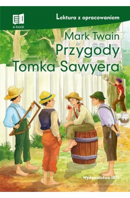 Przygody Tomka Sawyera lektura z opracowaniem