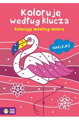 Koloruję według klucza. Koloruję według wzoru
