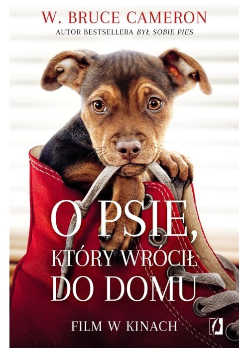 O psie, który wrócił do domu