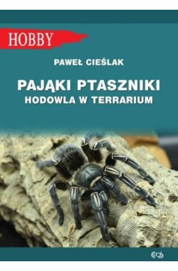 Pająki Ptaszniki. Hodowla W Terrarium