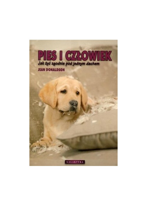 Pies i człowiek