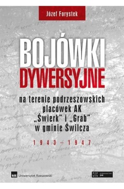 Bojówki dywersyjne TW