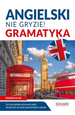 Angielski. Nie gryzie! Gramatyka