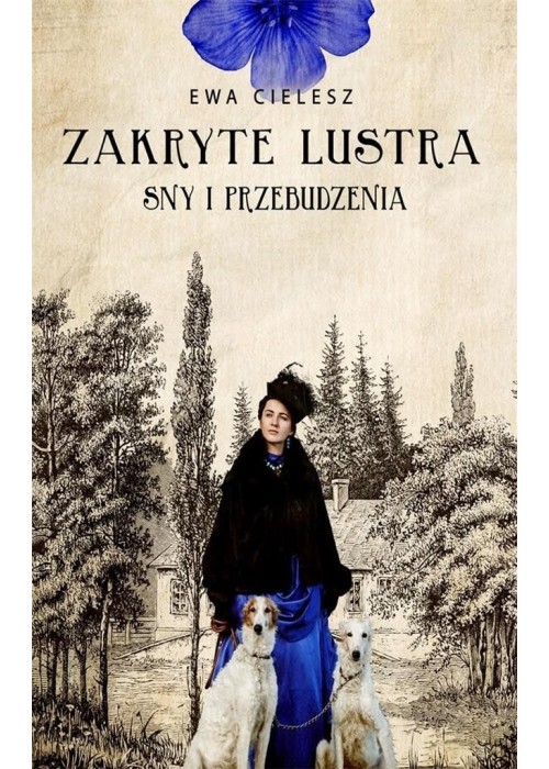 Zakryte lustra T.1 Sny i przebudzenia