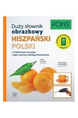 Duży słownik obrazkowy Hiszpański PONS