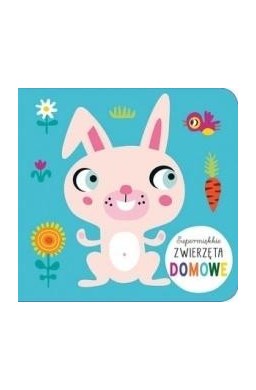 Supermiękkie Zwierzęta domowe