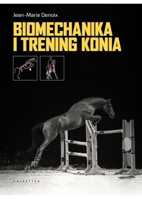 Biomechanika i trening konia