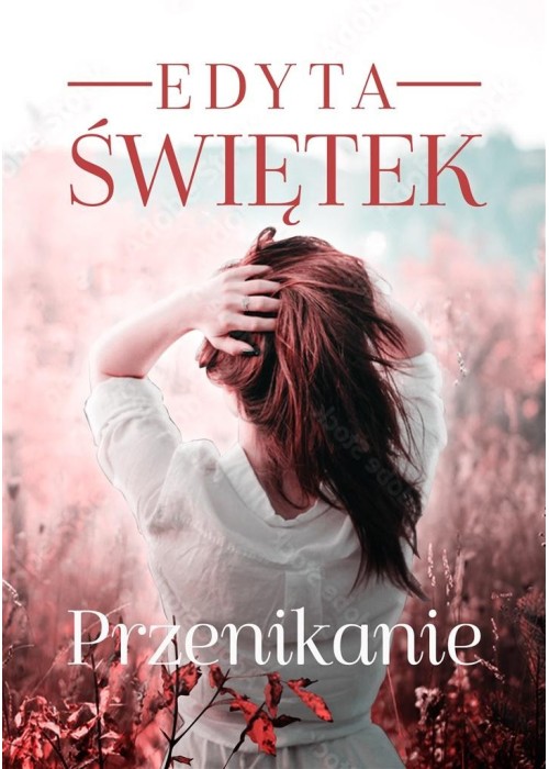 Przenikanie