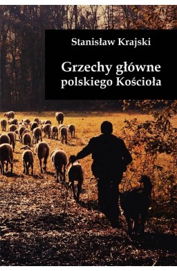 Grzechy główne polskiego Kościoła