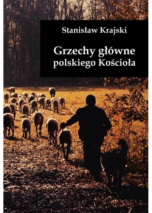 Grzechy główne polskiego Kościoła