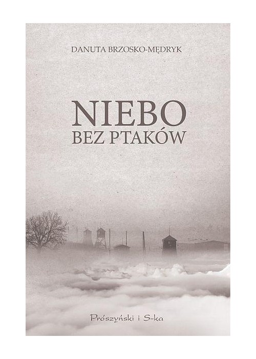 Niebo bez ptaków