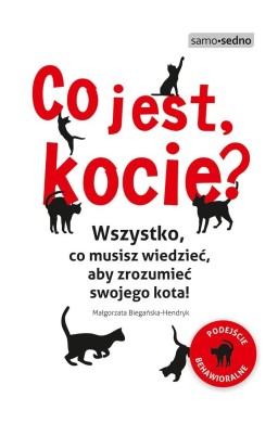 Co jest, kocie? Wszystko, co musisz wiedzieć..