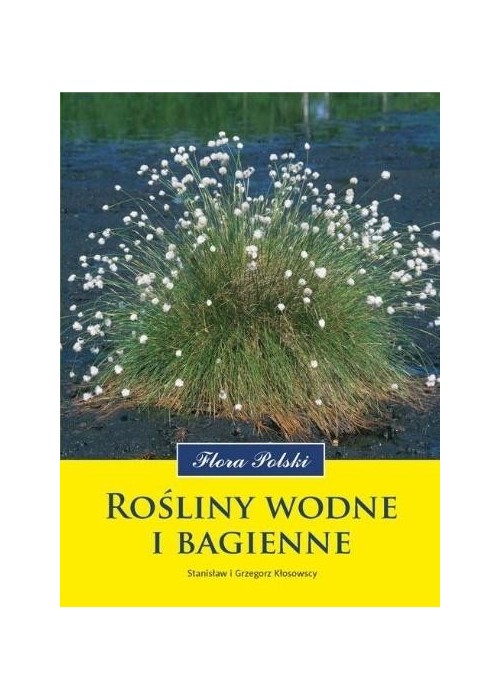 Rośliny wodne i bagienne