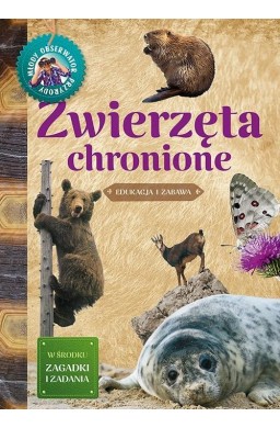 Młody Obserwator Przyrody - Zwierzęta chronione