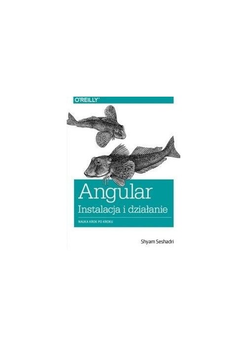 Angular instalacja i działanie