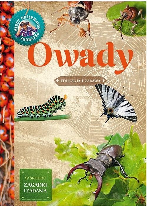 Młody Obserwator Przyrody - Owady w.2022