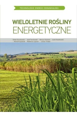 TEO. Wieloletnie rośliny energetyczne