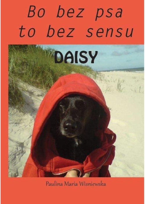 Daisy. Bo bez psa to bez sensu