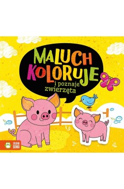 Maluch koloruje i poznaje zwierzęta