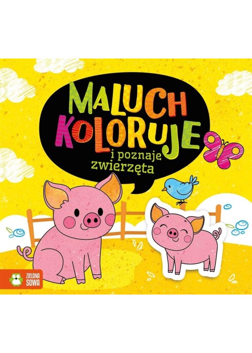 Maluch koloruje i poznaje zwierzęta