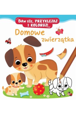 Baw się, przyklejaj i koloruj! Domowe zwierzątka