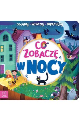 Co zobaczę w nocy. Oglądaj, wskazuj, zapamiętuj