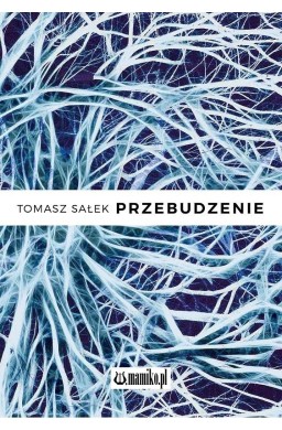 Przebudzenie