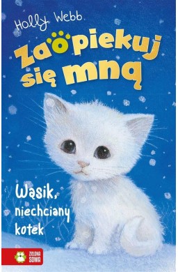 Zaopiekuj się mną. Wąsik, niechciany kotek