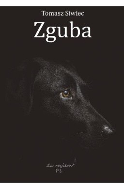 Zguba