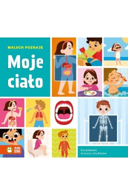 Maluch poznaje. Moje ciało