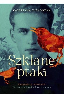 Szklane ptaki