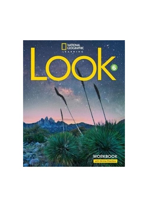 Look B1 Level 6 WB + online NE