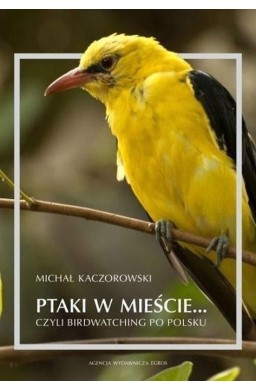 Ptaki w mieście, czyli birdwatching po polsku