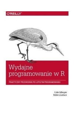 Wydajne programowanie w R