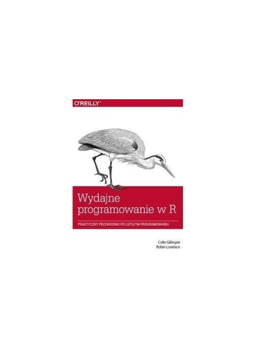 Wydajne programowanie w R