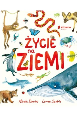 Życie na Ziemi