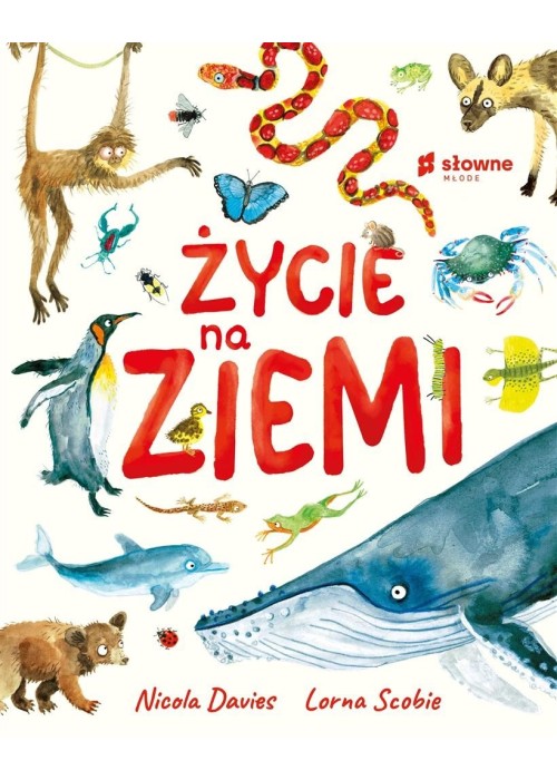 Życie na Ziemi