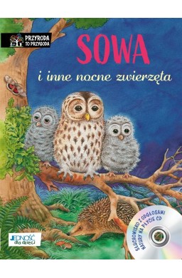 Sowa i inne nocne zwierzęta