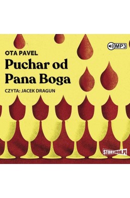 Puchar od Pana Boga audiobook