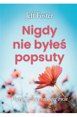 Nigdy nie byłeś popsuty