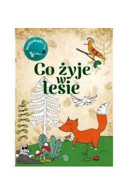 Co żyje w lesie Kolorowanka