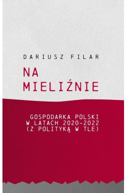 Na mieliźnie. Gospodarka Polski w latach 2020-2022